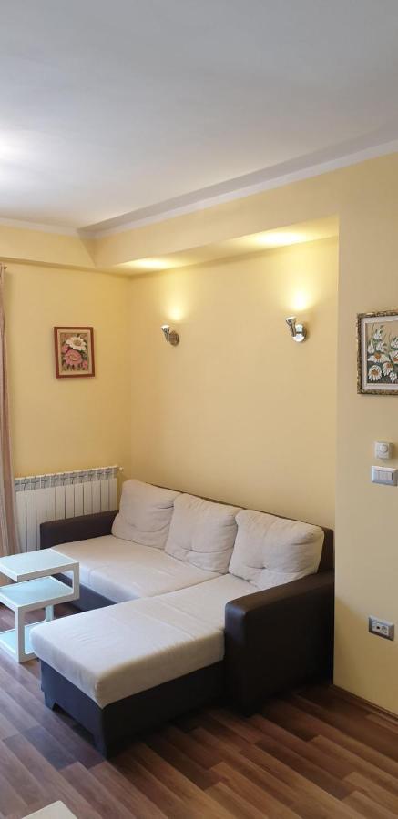 شقة Lili Novigrad Istria المظهر الخارجي الصورة